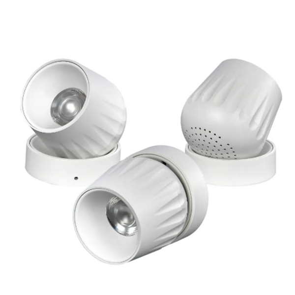 DL01 LED Rotatable Surface Mounted LED Downlight